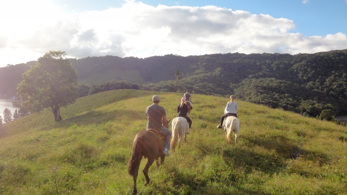 Passeios de Cavalo Paulo Fernandes